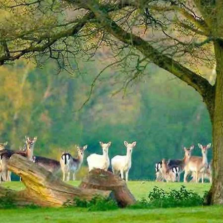 New Forest Retreat Shorefield Country Park Lymington Exteriér fotografie
