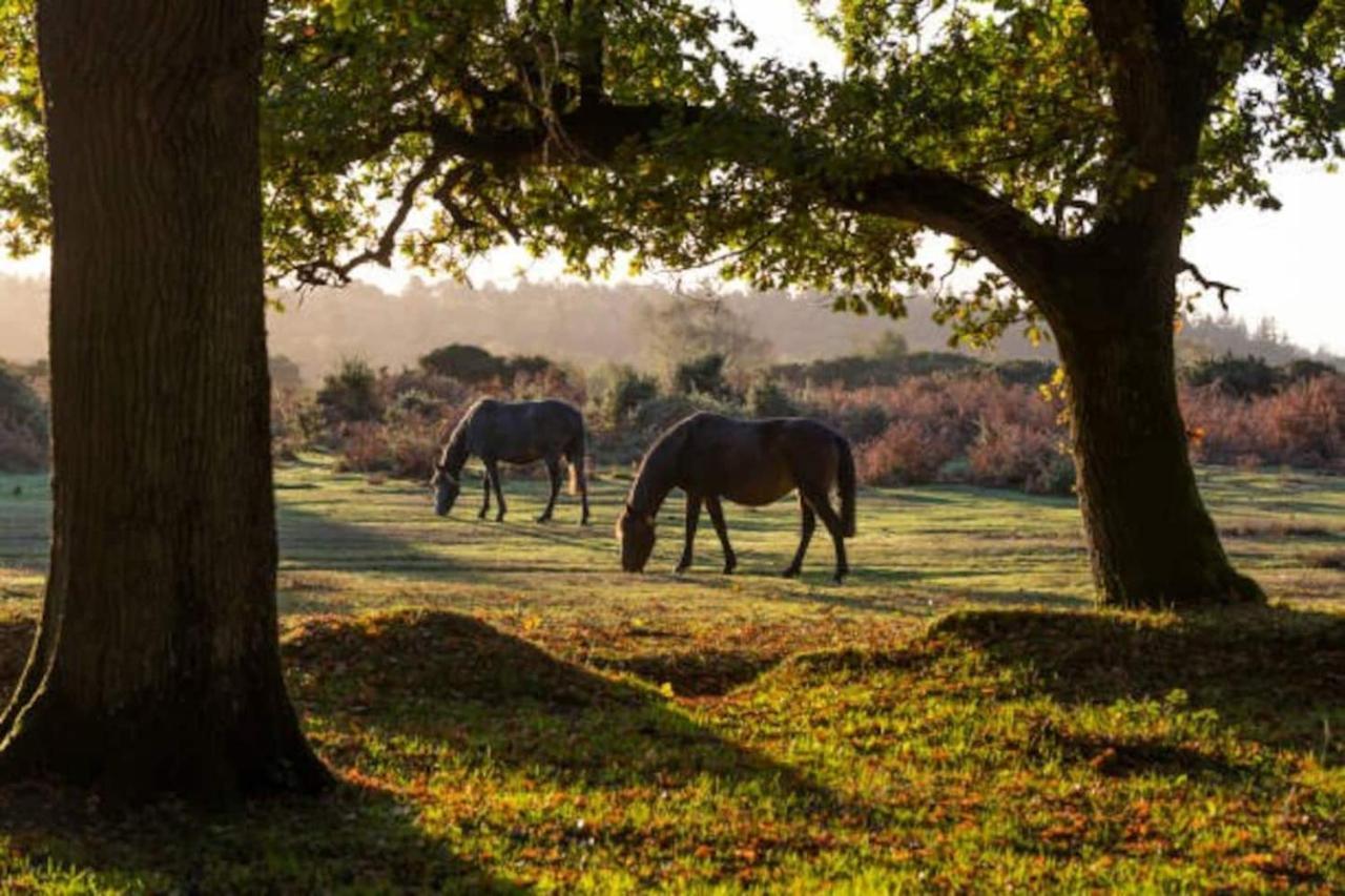 New Forest Retreat Shorefield Country Park Lymington Exteriér fotografie